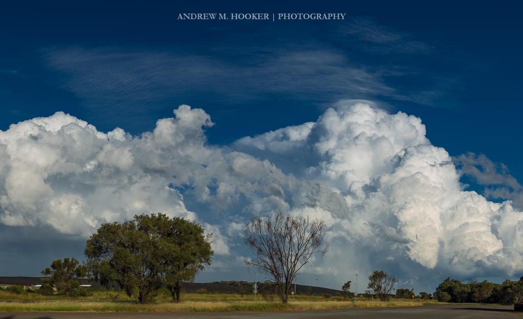 Jondaryan Thunderheads